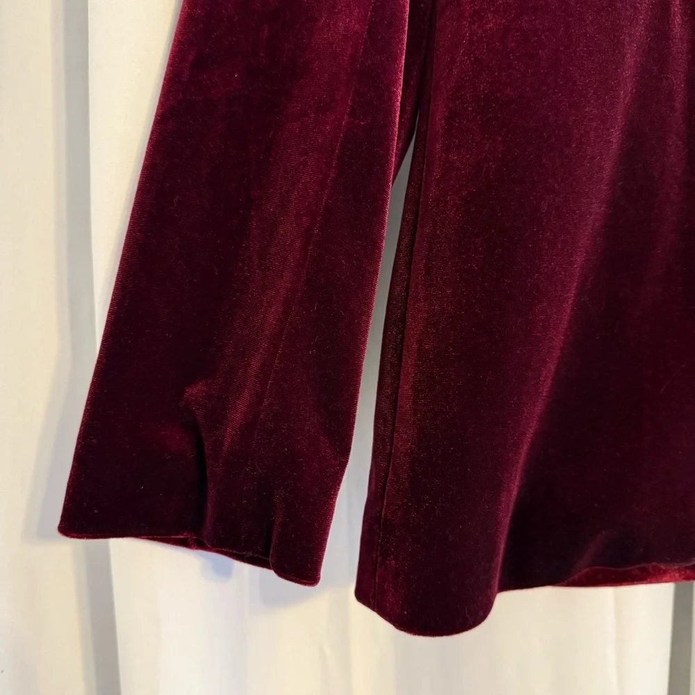 AQUA Cranberry Velvet Blazer Women’s Small Holiday Party Jacket Festive Rich Red - Picture 6 of 10